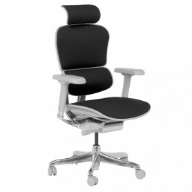 Ергономичен стол  ⋙ на цена от 1389.60лв  - Allegro-bg.com