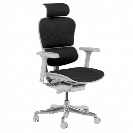 Ергономичен стол  ⋙ на цена от 1389.60лв  - Allegro-bg.com