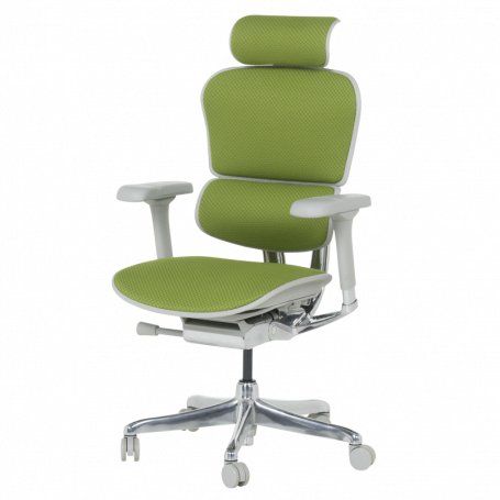 Ергономичен стол  ⋙ на цена от 1389.60лв  - Allegro-bg.com