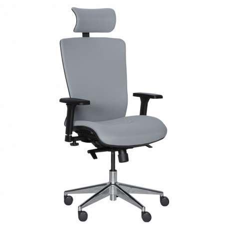 Ергономичен стол COTIA  ⋙ на цена от 780.00лв  - Allegro-bg.com