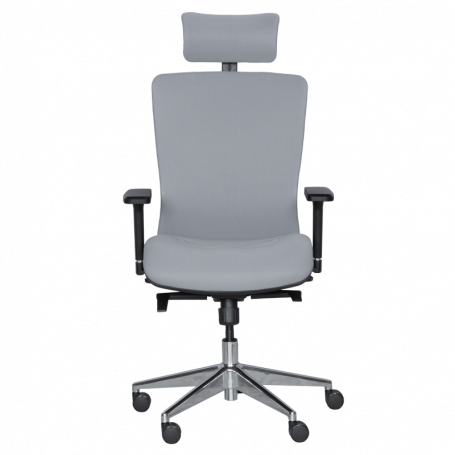 Ергономичен стол COTIA  ⋙ на цена от 780.00лв  - Allegro-bg.com