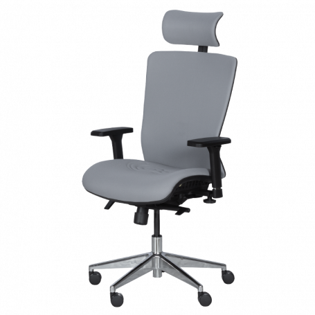 Ергономичен стол COTIA  ⋙ на цена от 780.00лв  - Allegro-bg.com