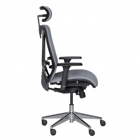 Ергономичен стол COTIA  ⋙ на цена от 780.00лв  - Allegro-bg.com