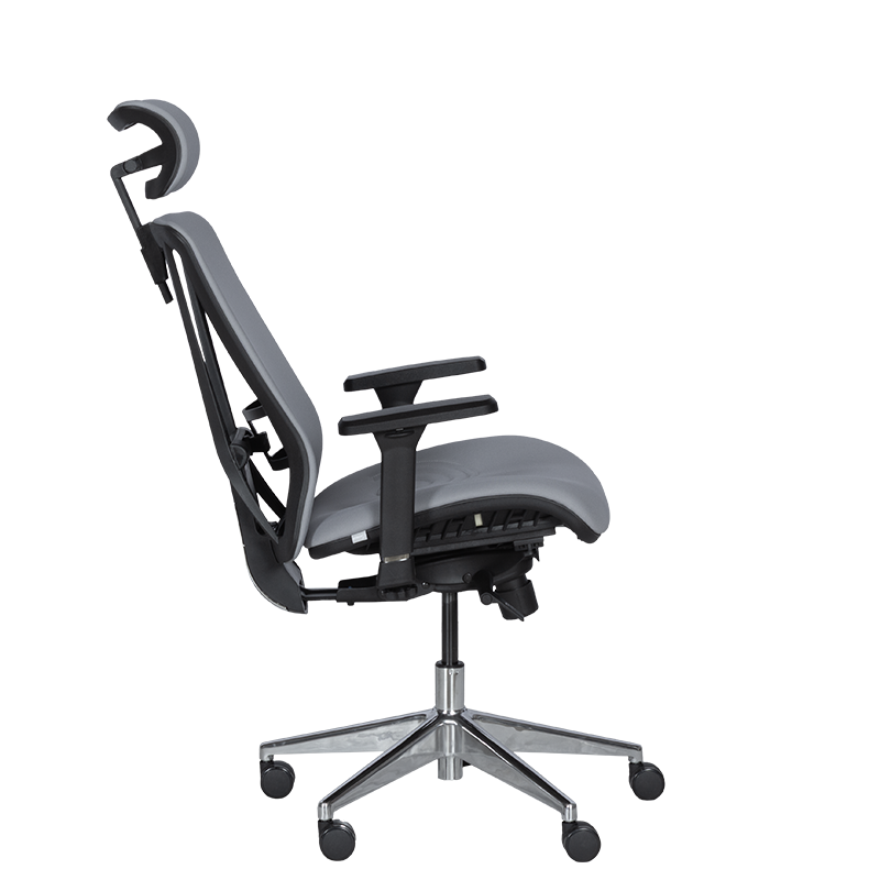 Ергономичен стол COTIA  ⋙ на цена от 780.00лв  - Allegro-bg.com