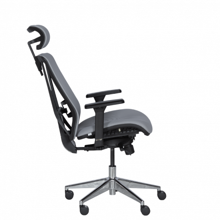 Ергономичен стол COTIA  ⋙ на цена от 780.00лв  - Allegro-bg.com