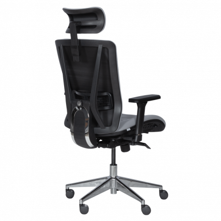 Ергономичен стол COTIA  ⋙ на цена от 780.00лв  - Allegro-bg.com