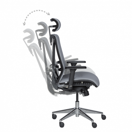 Ергономичен стол COTIA  ⋙ на цена от 780.00лв  - Allegro-bg.com