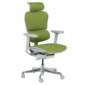 Ергономичен стол  ⋙ на цена от 1389.60лв  - Allegro-bg.com