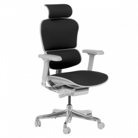 Ергономичен стол  ⋙ на цена от 1389.60лв  - Allegro-bg.com