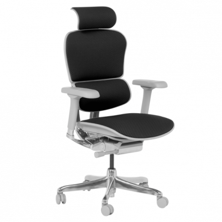 Ергономичен стол  ⋙ на цена от 1389.60лв  - Allegro-bg.com