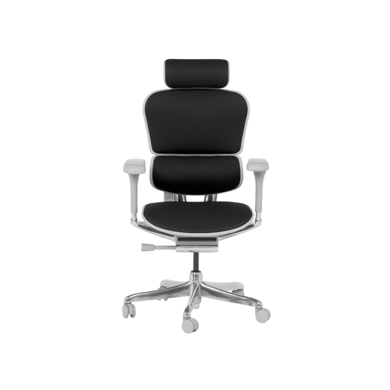 Ергономичен стол  ⋙ на цена от 1389.60лв  - Allegro-bg.com