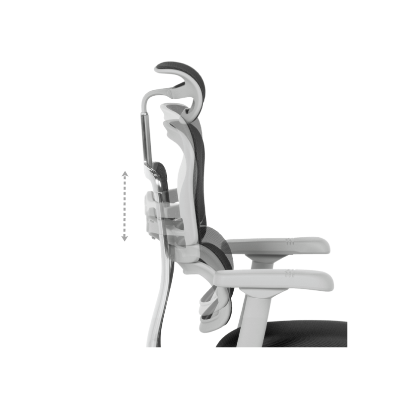 Ергономичен стол  ⋙ на цена от 1389.60лв  - Allegro-bg.com
