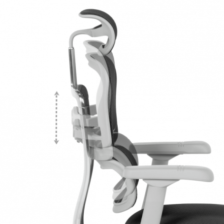 Ергономичен стол  ⋙ на цена от 1389.60лв  - Allegro-bg.com