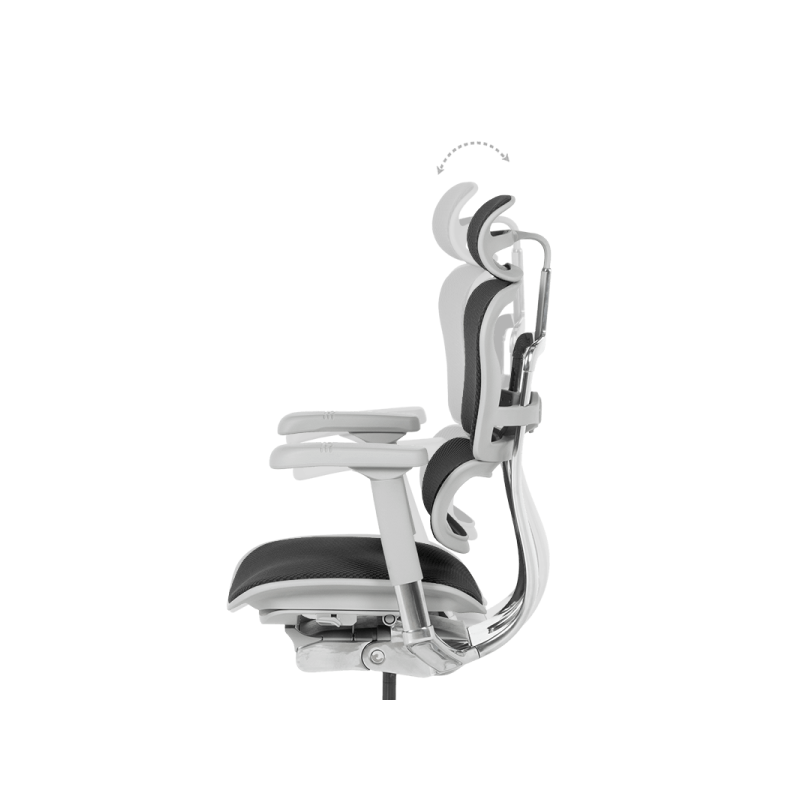 Ергономичен стол  ⋙ на цена от 1389.60лв  - Allegro-bg.com