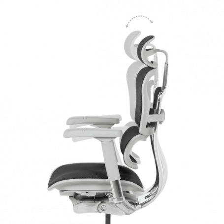 Ергономичен стол  ⋙ на цена от 1389.60лв  - Allegro-bg.com