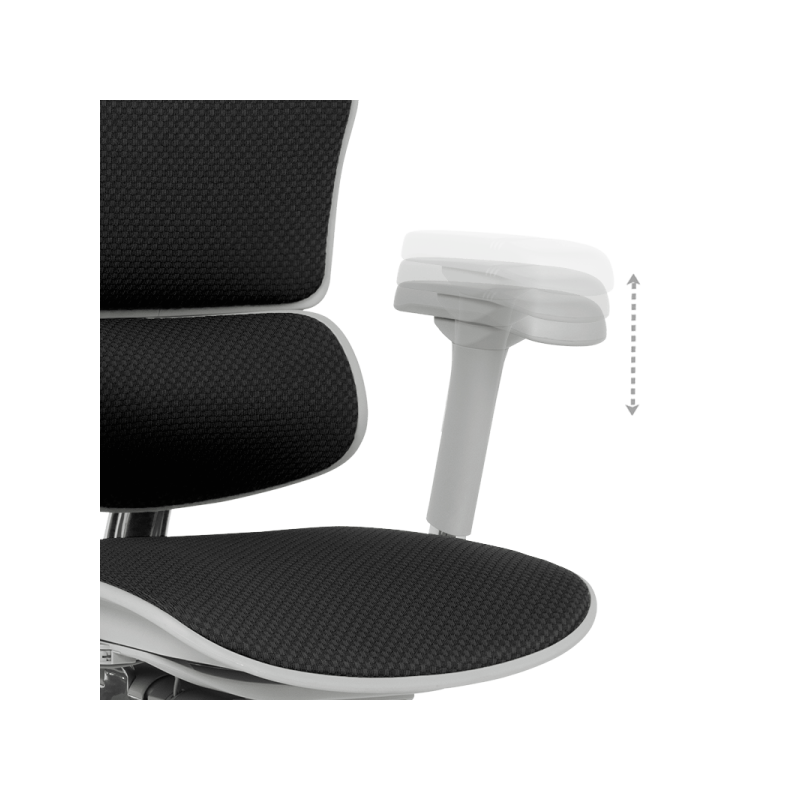 Ергономичен стол  ⋙ на цена от 1389.60лв  - Allegro-bg.com