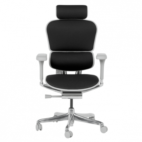 Ергономичен стол  ⋙ на цена от 1389.60лв  - Allegro-bg.com