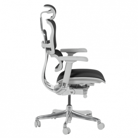 Ергономичен стол  ⋙ на цена от 1389.60лв  - Allegro-bg.com