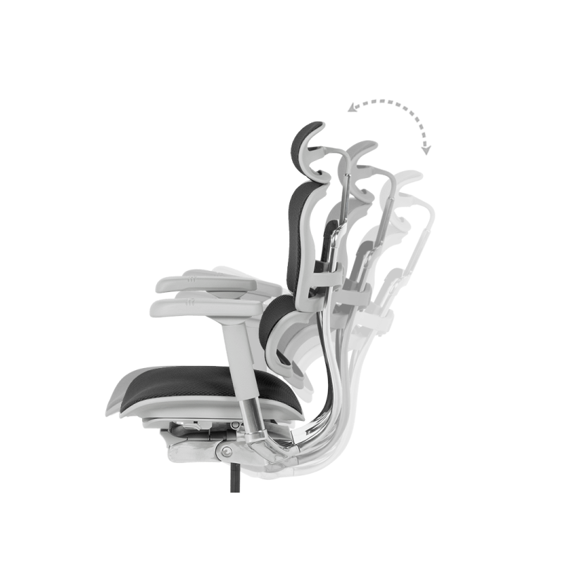 Ергономичен стол  ⋙ на цена от 1389.60лв  - Allegro-bg.com