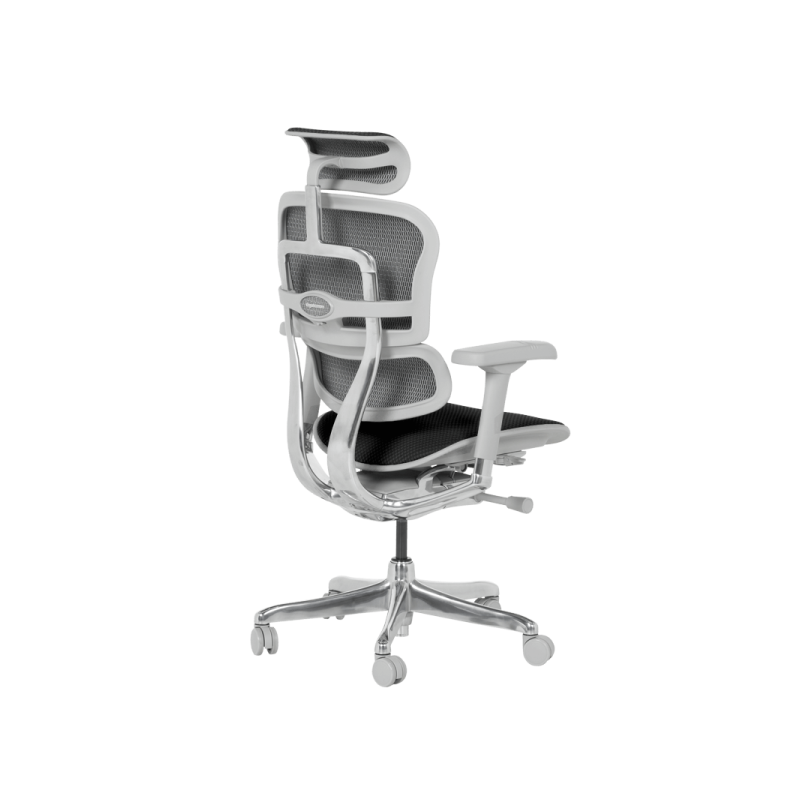 Ергономичен стол  ⋙ на цена от 1389.60лв  - Allegro-bg.com