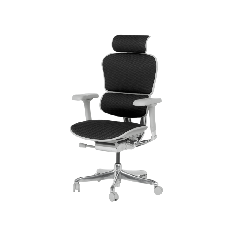 Ергономичен стол  ⋙ на цена от 1389.60лв  - Allegro-bg.com