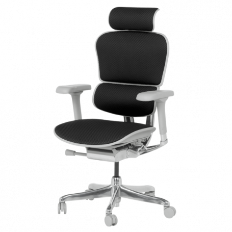 Ергономичен стол  ⋙ на цена от 1389.60лв  - Allegro-bg.com