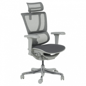 Ергономичен стол  ⋙ на цена от 1098.00лв  - Allegro-bg.com