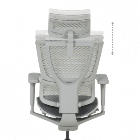Ергономичен стол  ⋙ на цена от 1098.00лв  - Allegro-bg.com