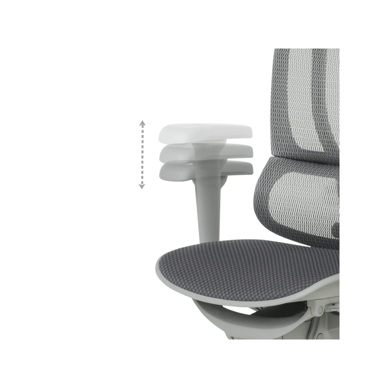 Ергономичен стол  ⋙ на цена от 1098.00лв  - Allegro-bg.com