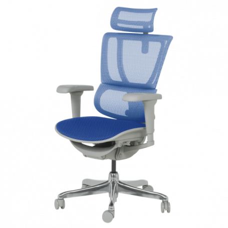 Ергономичен стол  ⋙ на цена от 1098.00лв  - Allegro-bg.com