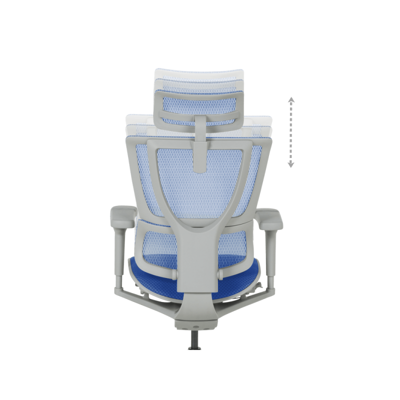 Ергономичен стол  ⋙ на цена от 1098.00лв  - Allegro-bg.com