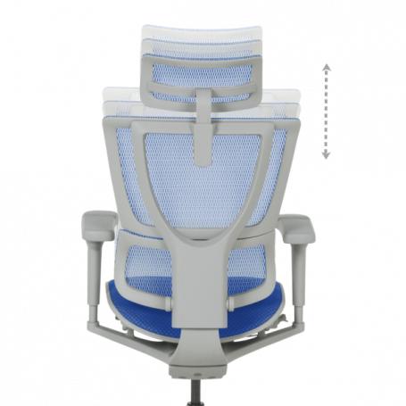 Ергономичен стол  ⋙ на цена от 1098.00лв  - Allegro-bg.com