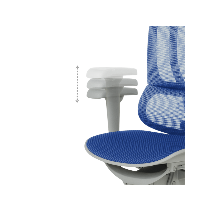 Ергономичен стол  ⋙ на цена от 1098.00лв  - Allegro-bg.com