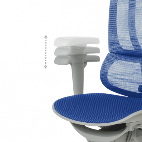 Ергономичен стол  ⋙ на цена от 1098.00лв  - Allegro-bg.com