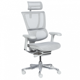 Ергономичен стол  ⋙ на цена от 1188.00лв  - Allegro-bg.com