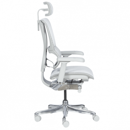 Ергономичен стол  ⋙ на цена от 1188.00лв  - Allegro-bg.com