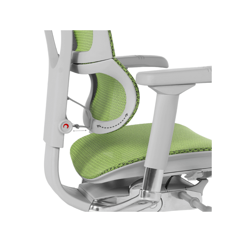 Ергономичен стол  ⋙ на цена от 1188.00лв  - Allegro-bg.com