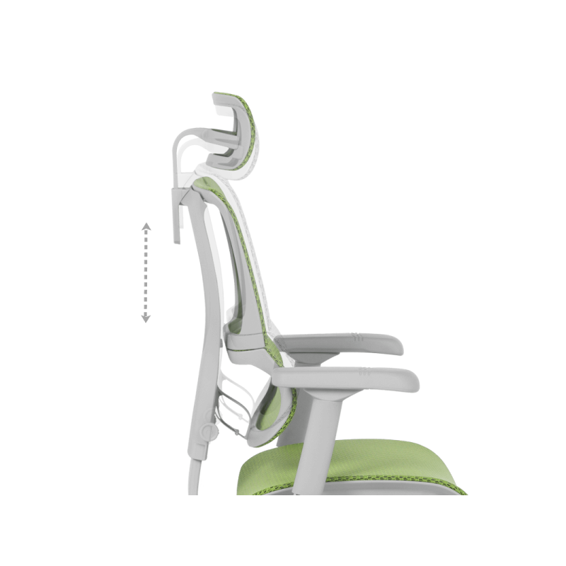 Ергономичен стол  ⋙ на цена от 1188.00лв  - Allegro-bg.com