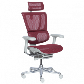 Ергономичен стол  ⋙ на цена от 1188.00лв  - Allegro-bg.com