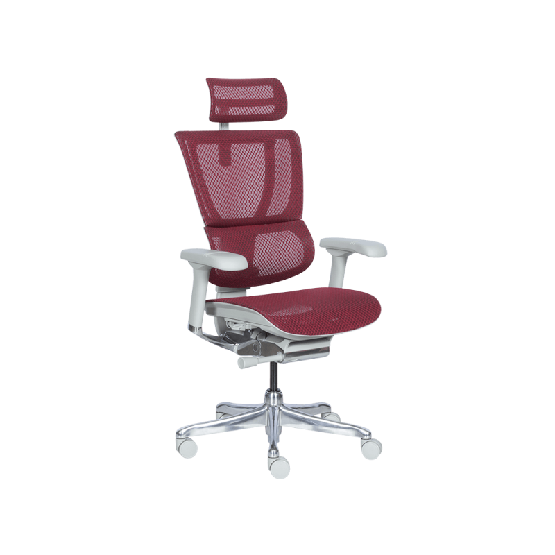 Ергономичен стол  ⋙ на цена от 1188.00лв  - Allegro-bg.com