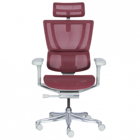 Ергономичен стол  ⋙ на цена от 1188.00лв  - Allegro-bg.com