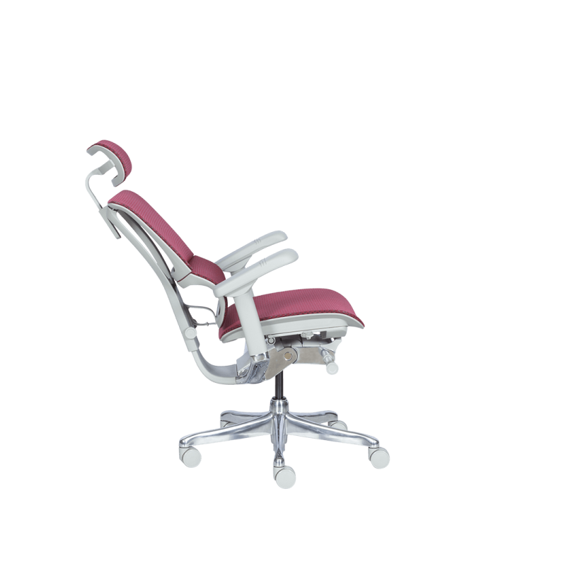 Ергономичен стол  ⋙ на цена от 1188.00лв  - Allegro-bg.com