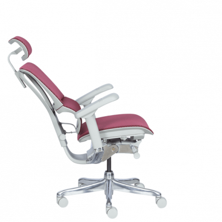 Ергономичен стол  ⋙ на цена от 1188.00лв  - Allegro-bg.com