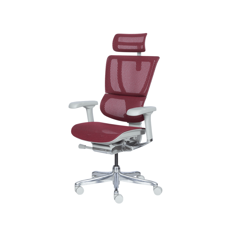 Ергономичен стол  ⋙ на цена от 1188.00лв  - Allegro-bg.com