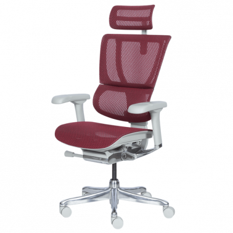 Ергономичен стол  ⋙ на цена от 1188.00лв  - Allegro-bg.com