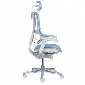 Ергономичен стол  ⋙ на цена от 1188.00лв  - Allegro-bg.com 2