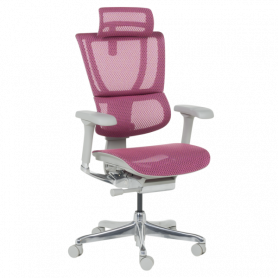 Ергономичен стол  ⋙ на цена от 1188.00лв  - Allegro-bg.com