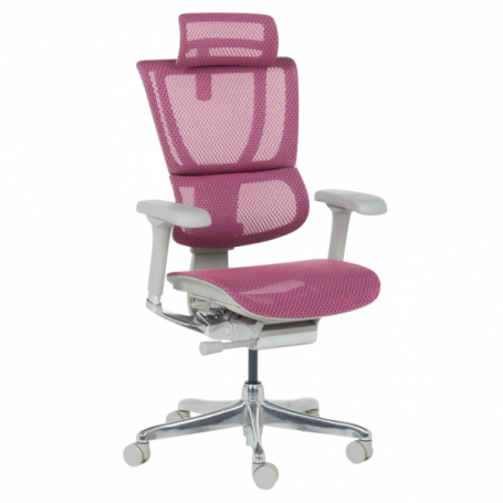 Ергономичен стол  ⋙ на цена от 1188.00лв  - Allegro-bg.com