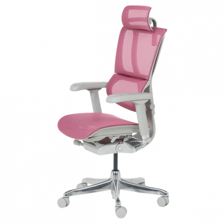 Ергономичен стол  ⋙ на цена от 1188.00лв  - Allegro-bg.com