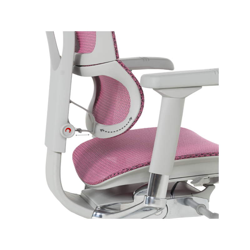 Ергономичен стол  ⋙ на цена от 1188.00лв  - Allegro-bg.com